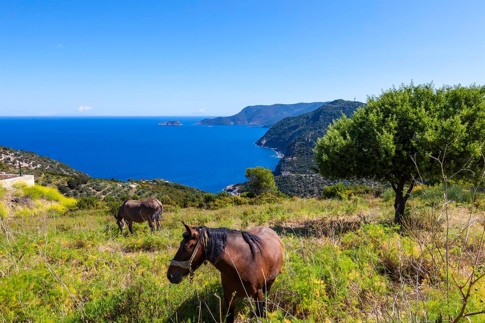 Areas of Alonissos